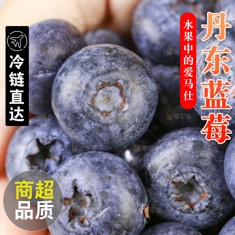 手里捧着新鲜大蓝莓