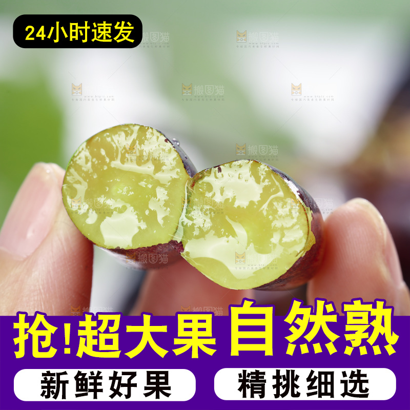 手里拿着美人指黑提