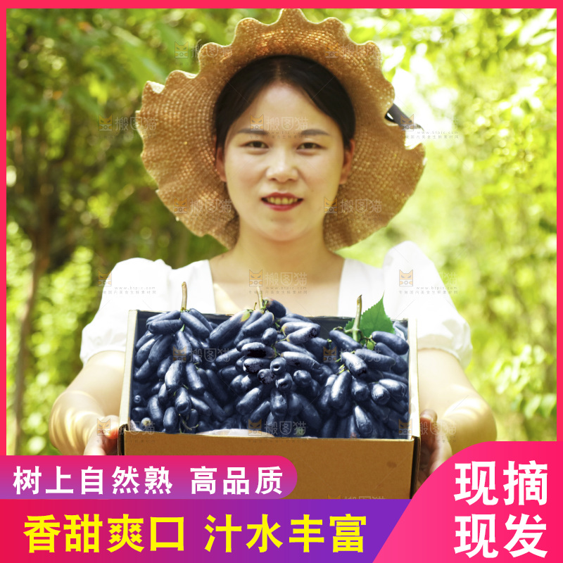 女孩拿着一盒蓝宝石葡萄