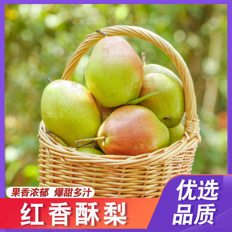 手里拿着一篮红香酥梨