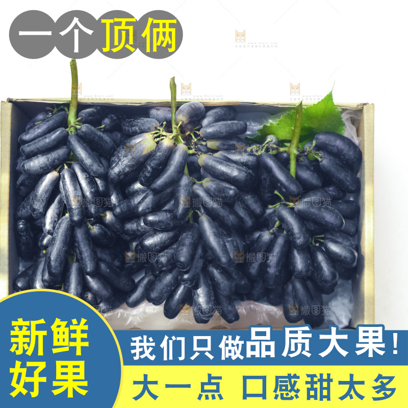 礼品盒里的美人指黑提
