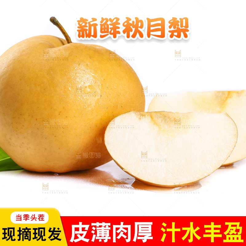 白底上的山东秋月梨