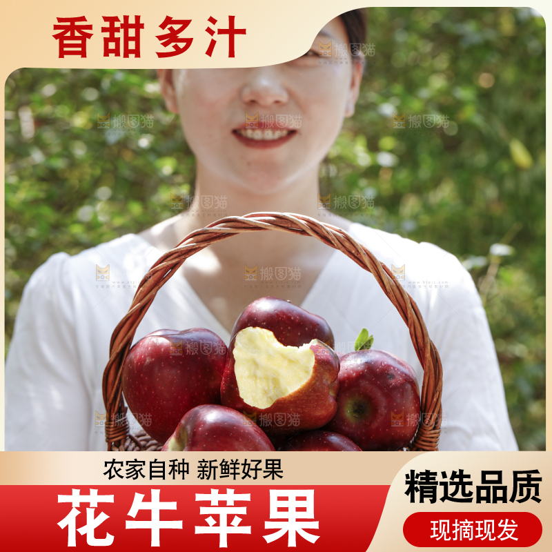女孩手里拿着一篮花牛苹果