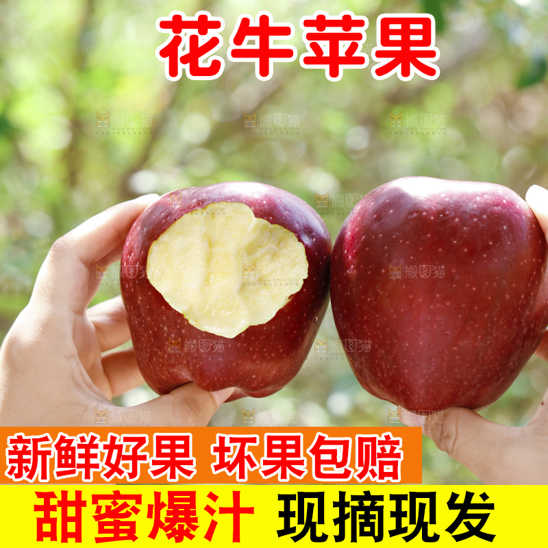 手里拿着天水花牛苹果