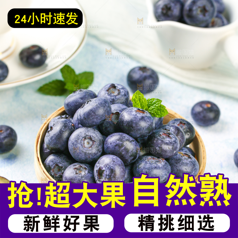 浅底上的一篮高山蓝莓
