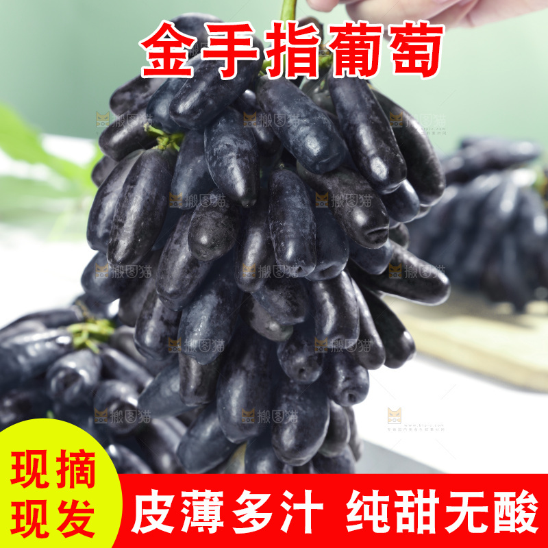 手拿着美人指黑提