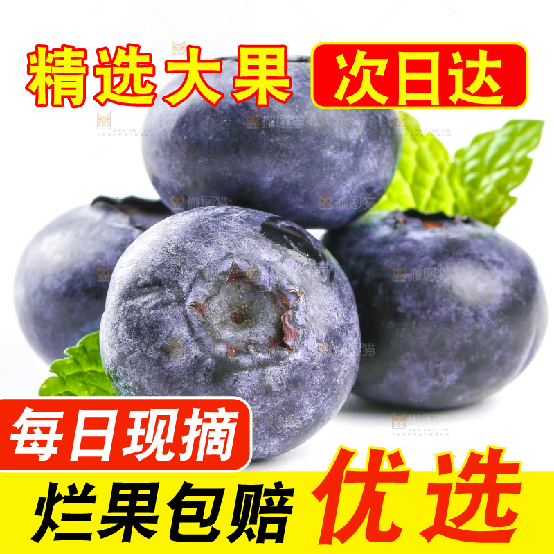 白底上放着的新鲜蓝莓
