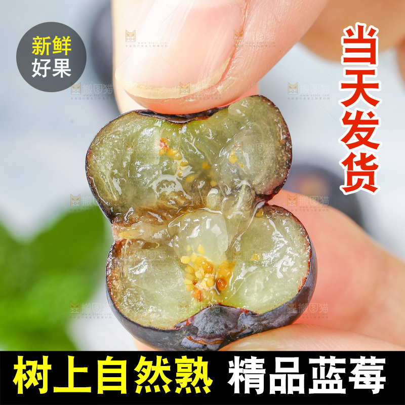 手里拿着蓝莓鲜果