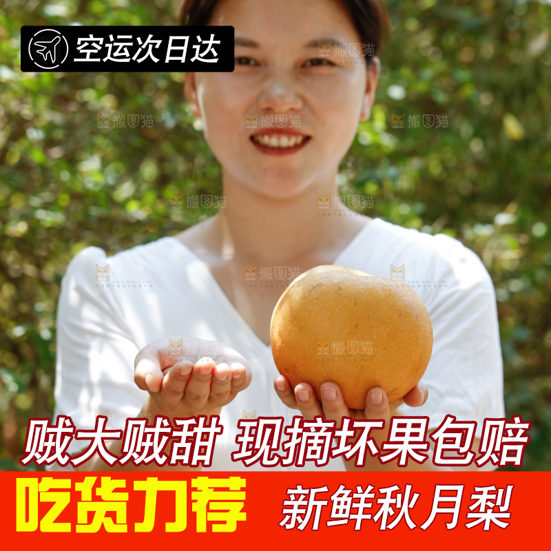 女孩手里拿着秋月梨