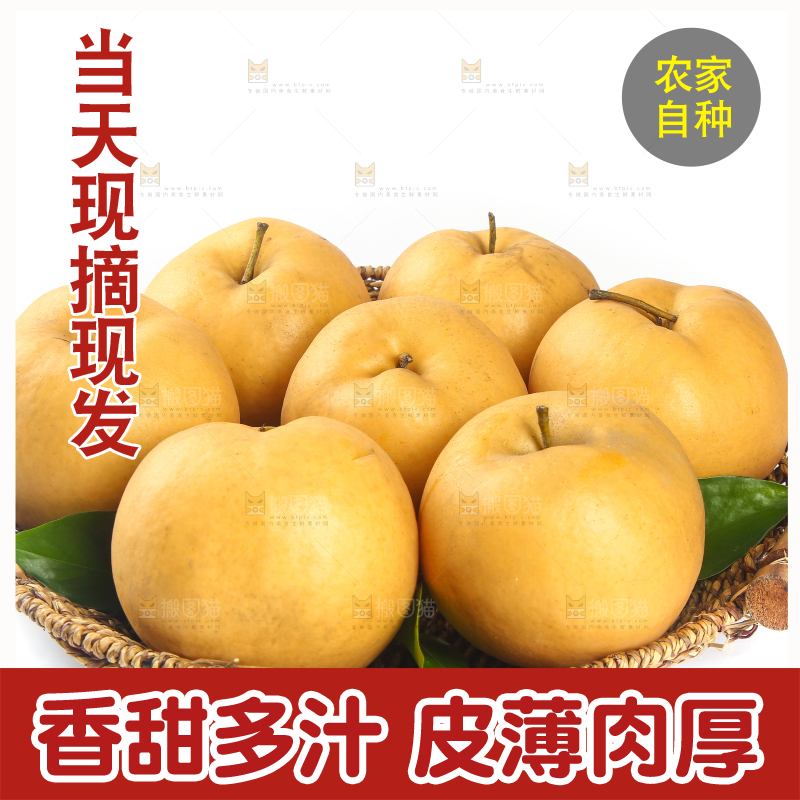 白底上放着一筐秋月梨