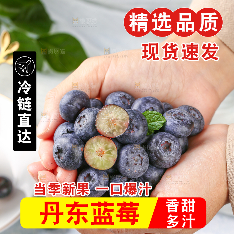 手里捧着新鲜大蓝莓