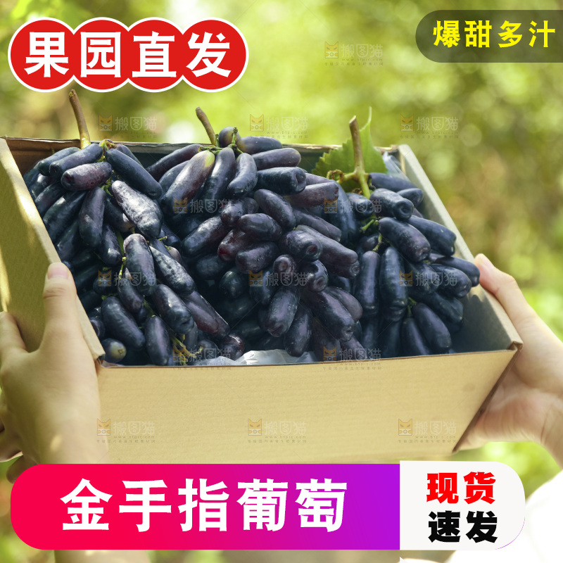 手里拿着一盒美人指黑提