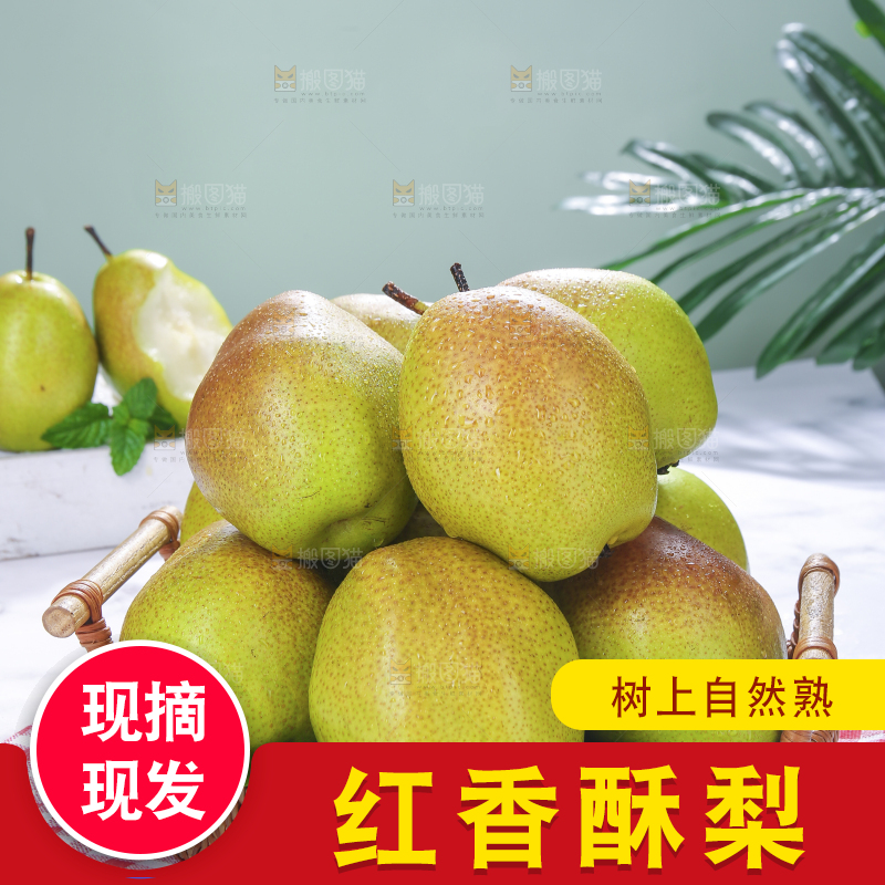 篮子里的红香酥梨