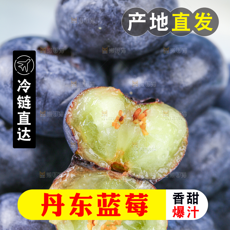 碟子里的蓝莓鲜果