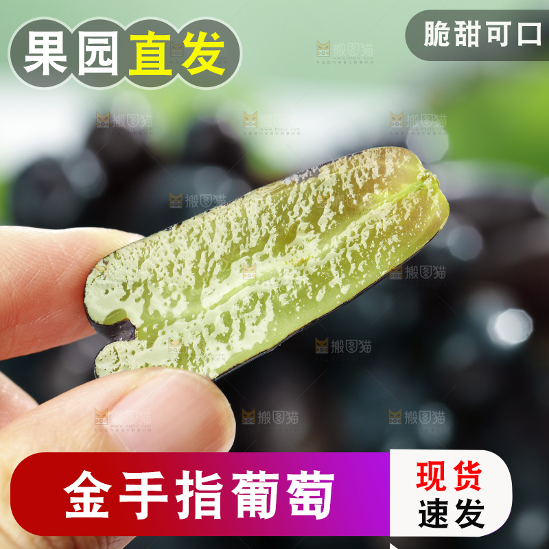 手里拿着美人指黑提
