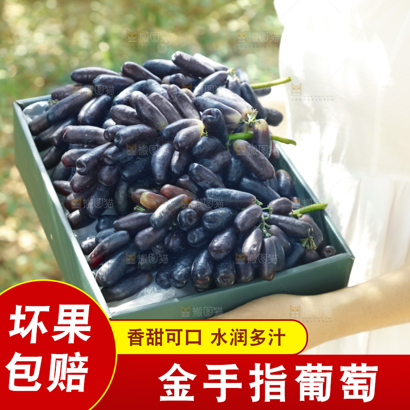 手里拿着礼品盒装的手指葡萄