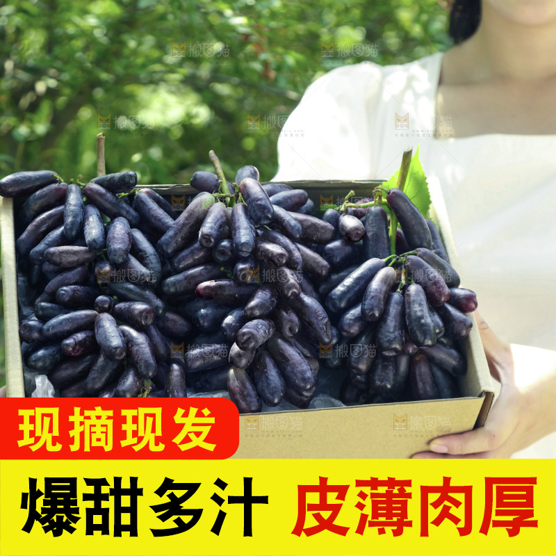 礼品盒里的美人指葡萄