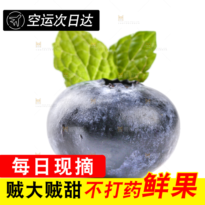 白底上放着的新鲜蓝莓