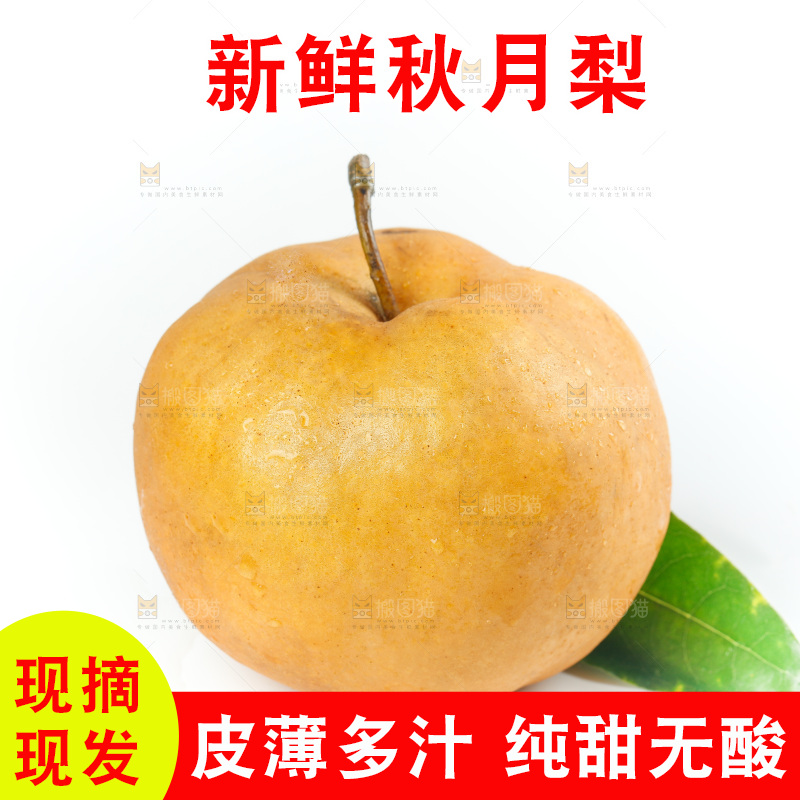 白底上摆放着的秋月梨