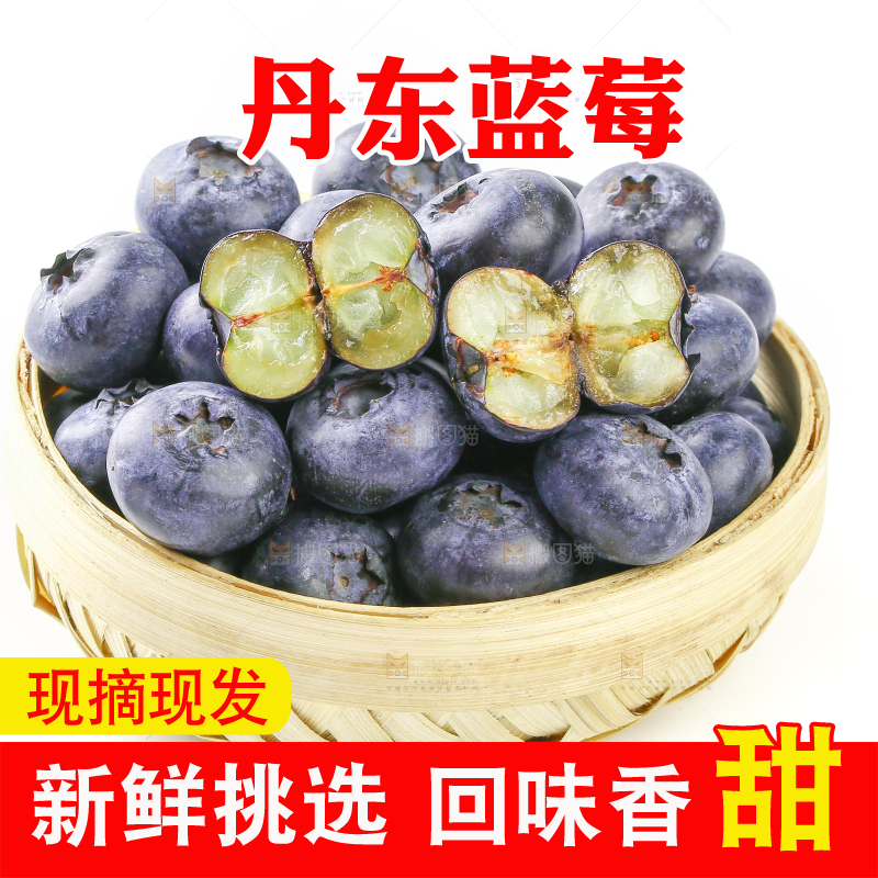 白底上的一篮新鲜蓝莓