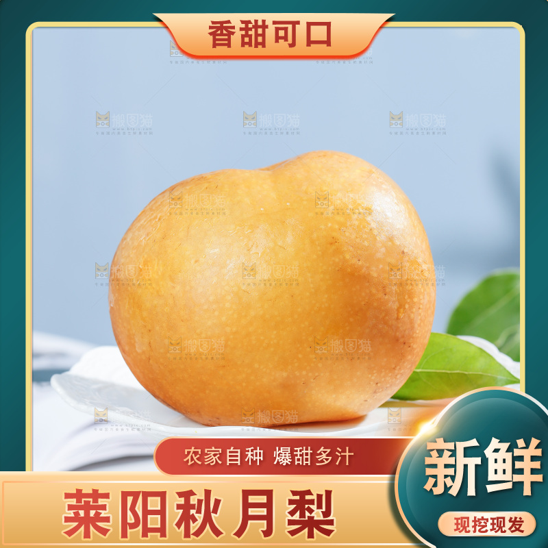 盘子里的莱阳秋月梨