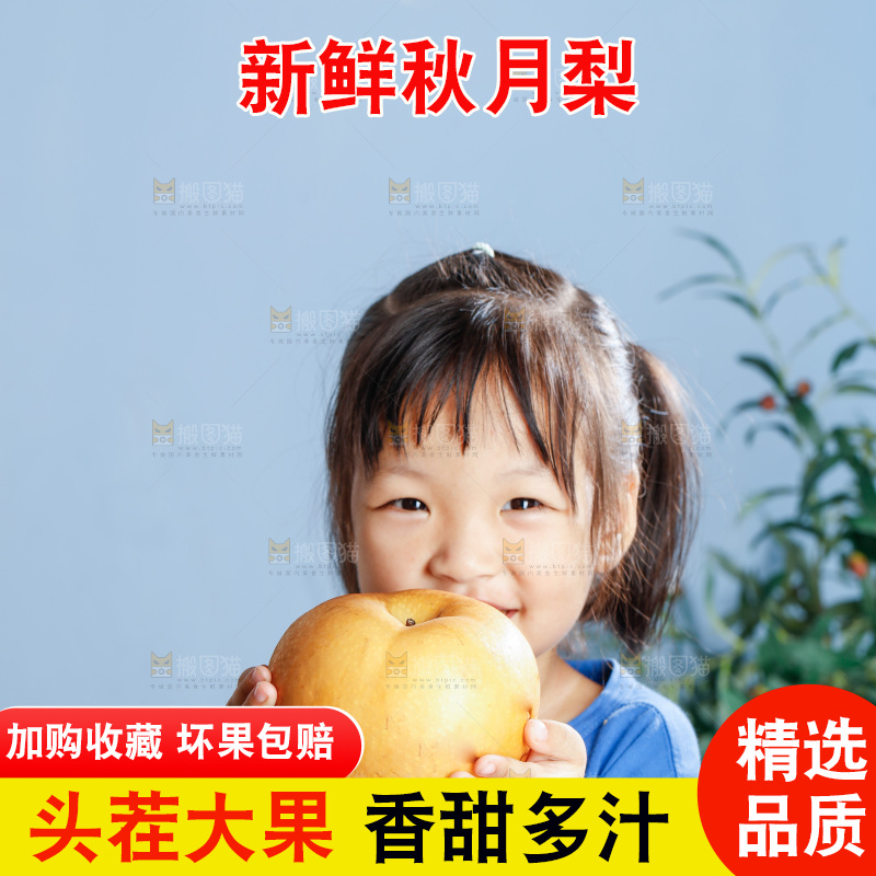 小孩拿着山东秋月梨