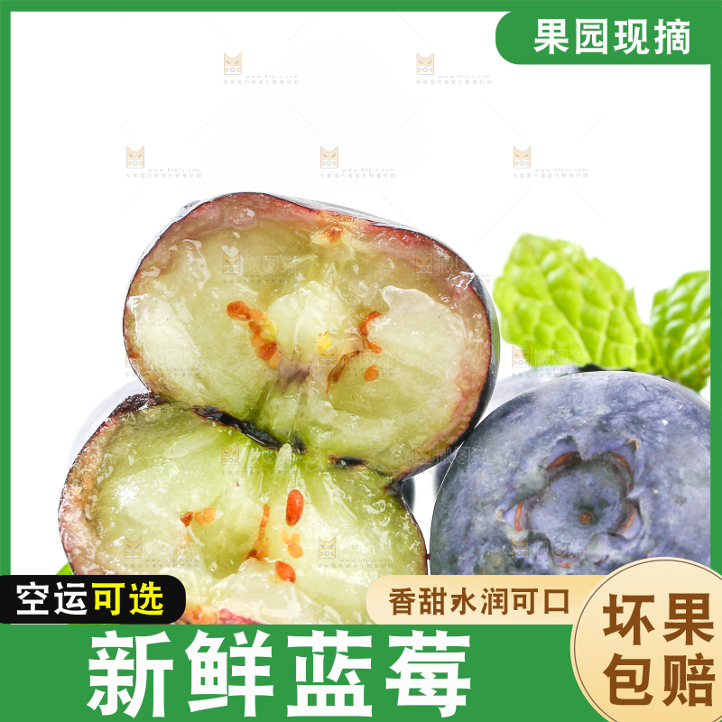 白底上剥开的大蓝莓