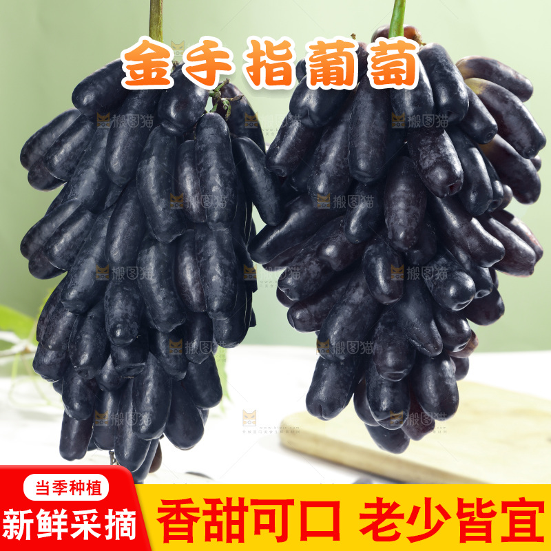手里拿着美人指黑提