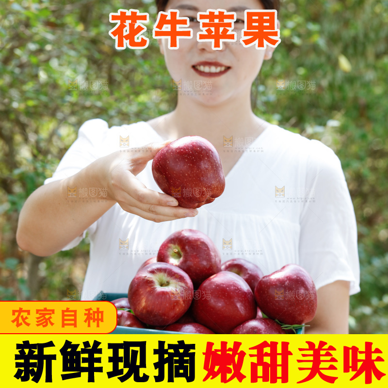 女孩手里拿着一盒花牛苹果