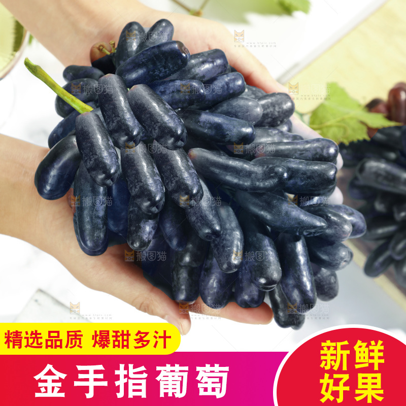 手里拿着美人指黑提
