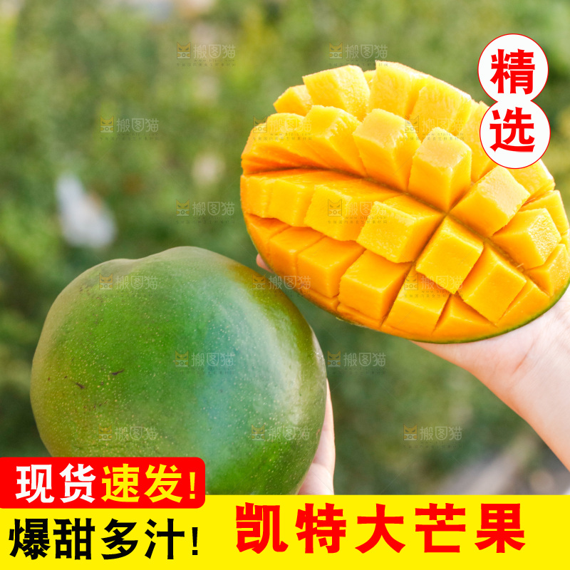 手里拿着青皮凯特芒