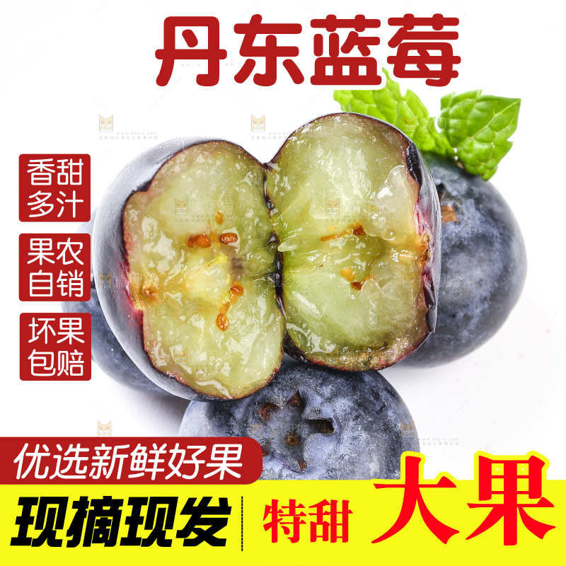 白底上放着的新鲜蓝莓