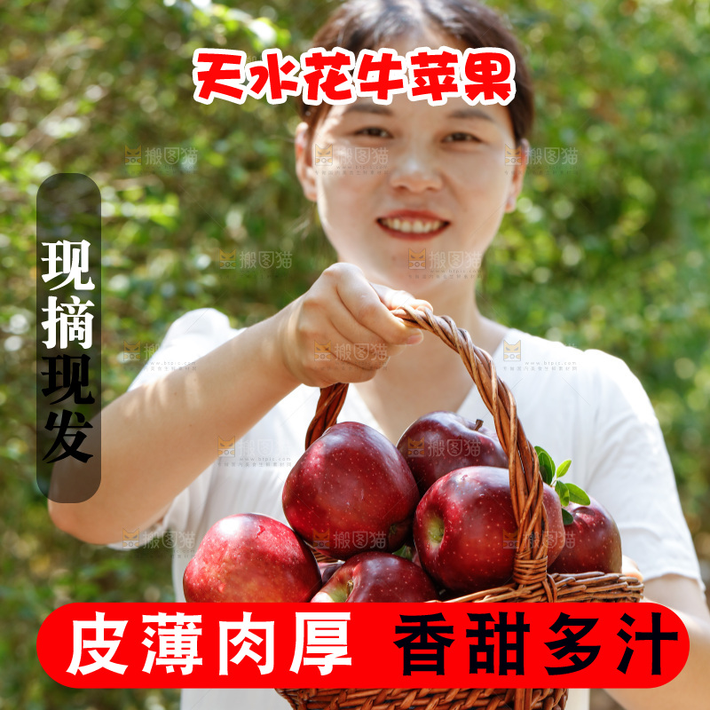 女孩手里拿着一篮花牛苹果