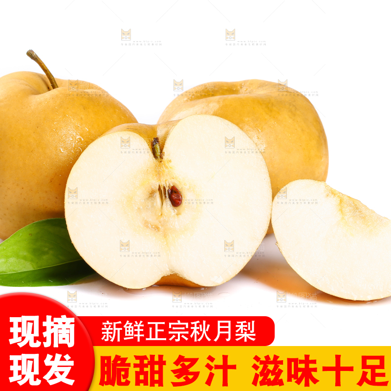 白底上的山东秋月梨