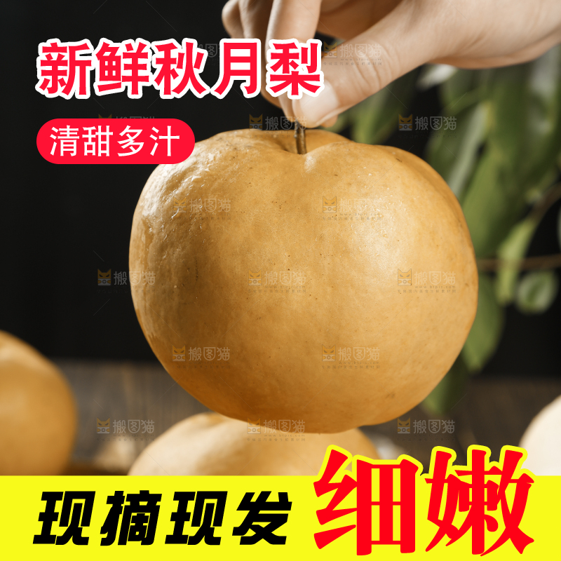 手里拿着莱阳秋月梨