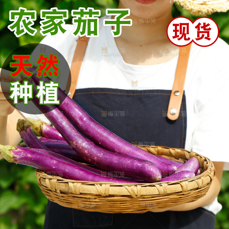 手里端着紫长茄子