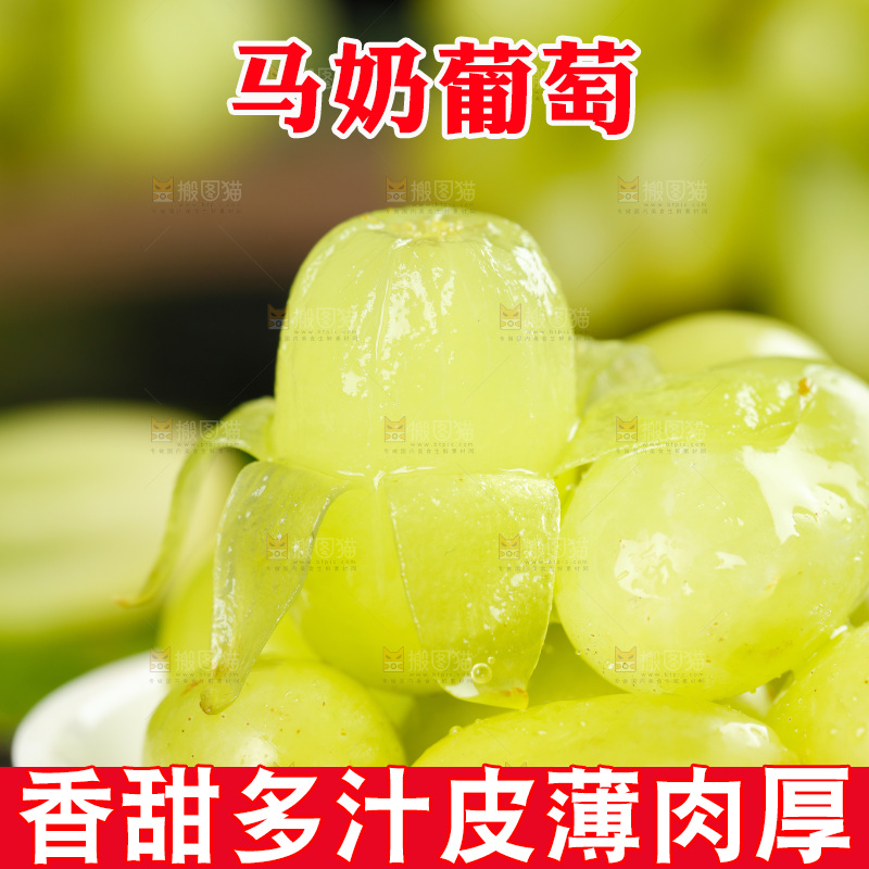 一碟玛奶提