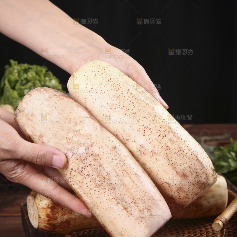 手里拿着湖北莲藕