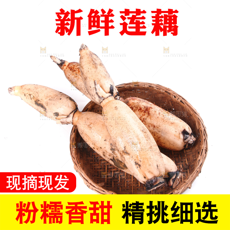 篮子里的洪湖莲藕