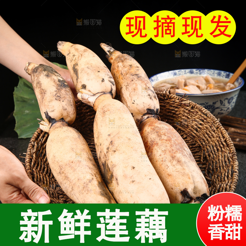手上端着一篮洪湖粉藕