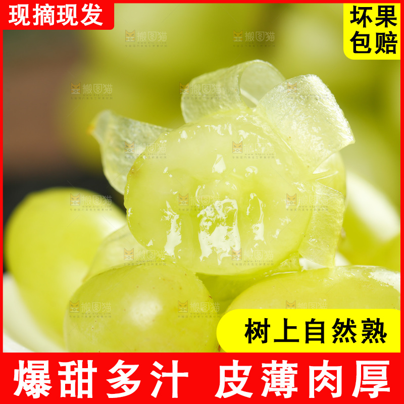 一碟玛奶提