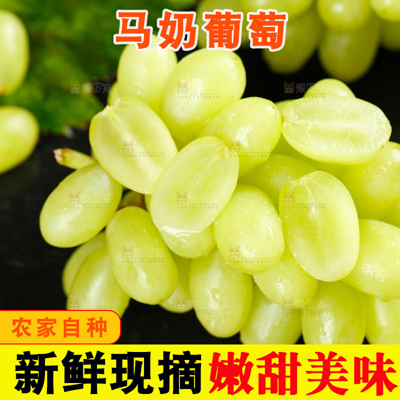 一堆新鲜玛奶提