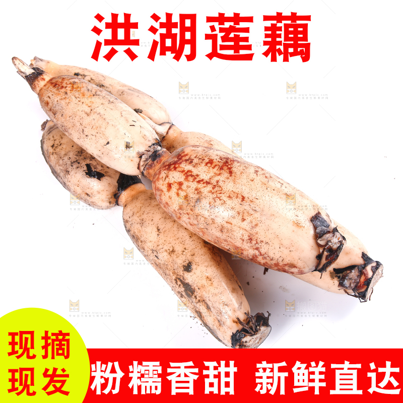 白底上的莲藕