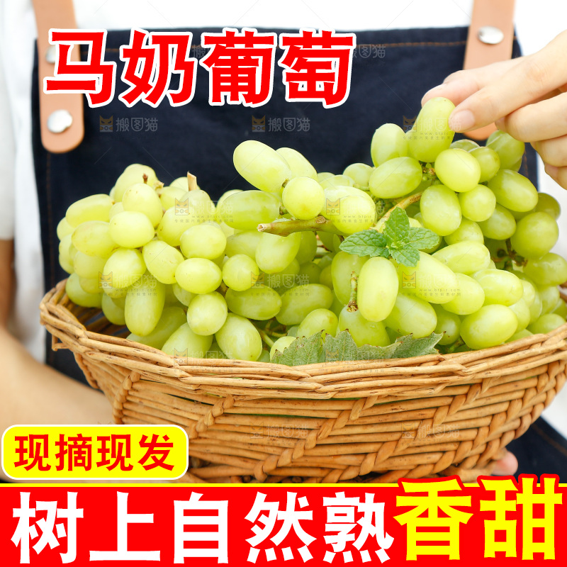 手里端着一篮新疆无核白葡萄