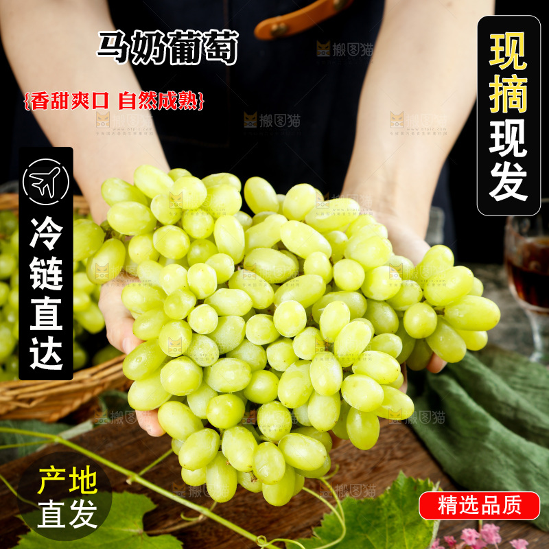 手里拿着白葡萄