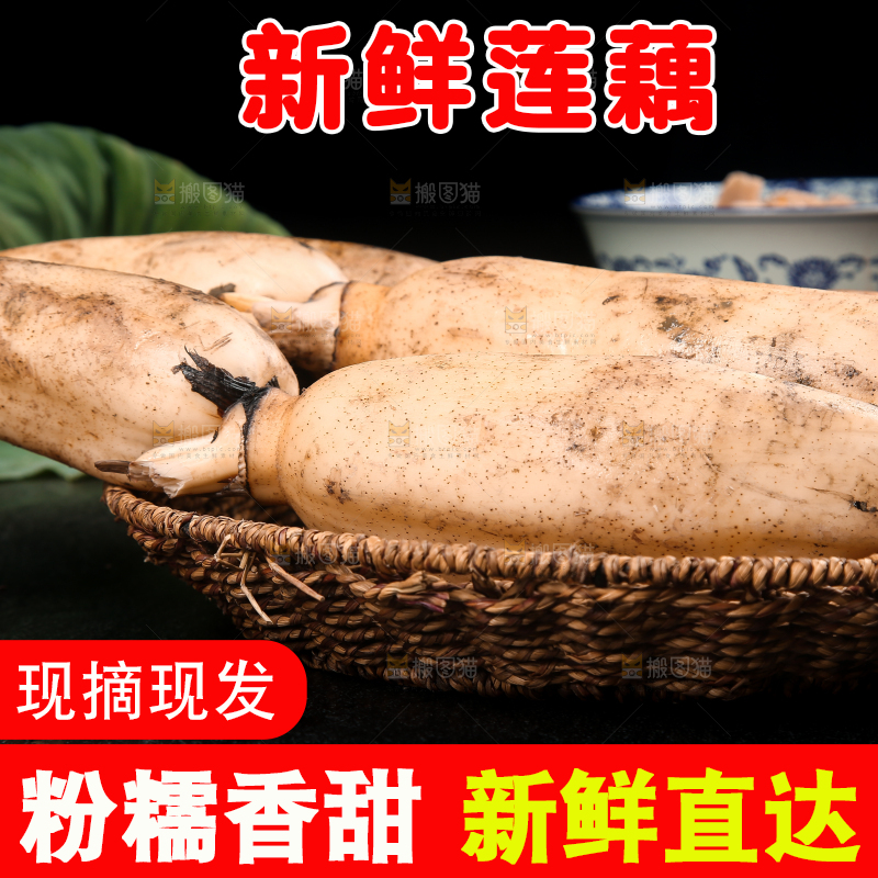 篮子里的洪湖莲藕