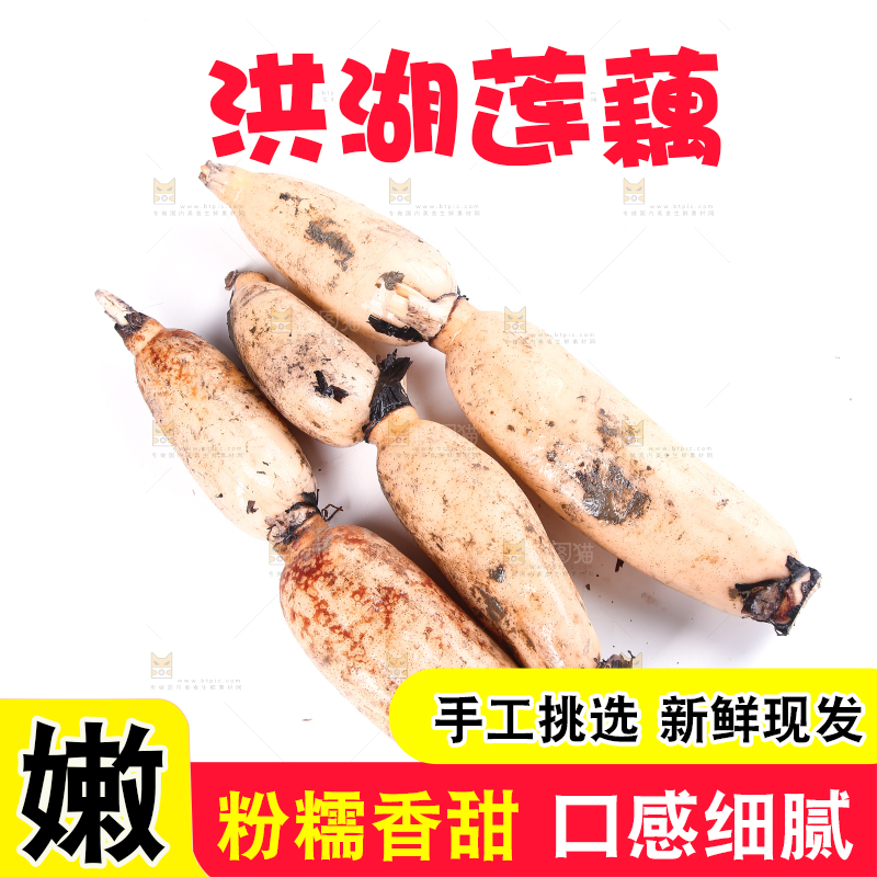 白底上的莲藕