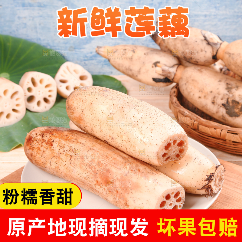一盘洪湖莲藕