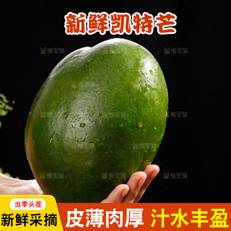 手里拿着青皮凯特芒