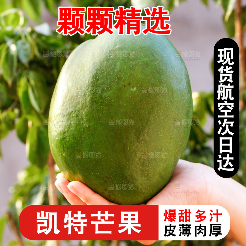 手里拿着青皮凯特芒